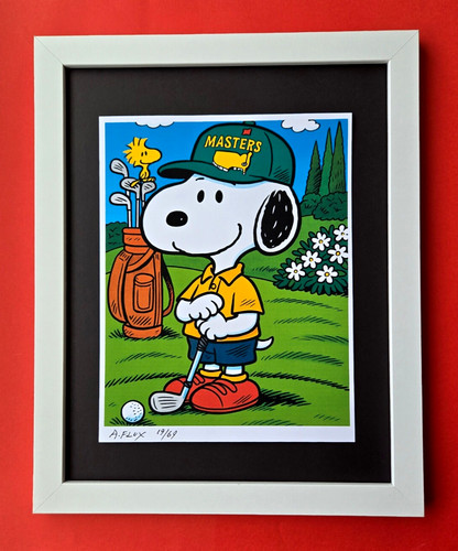Aidan flux snoopy - aidan,