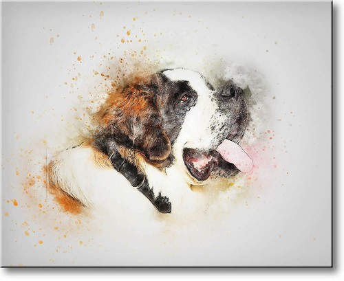 Bernard dog picture on - st.,